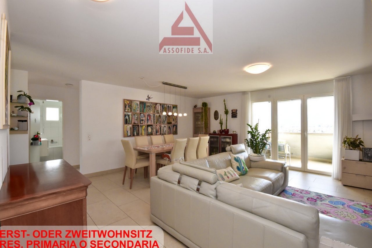 white leather sofa, dining table, glass doors, plants, rug, white walls, ceiling light