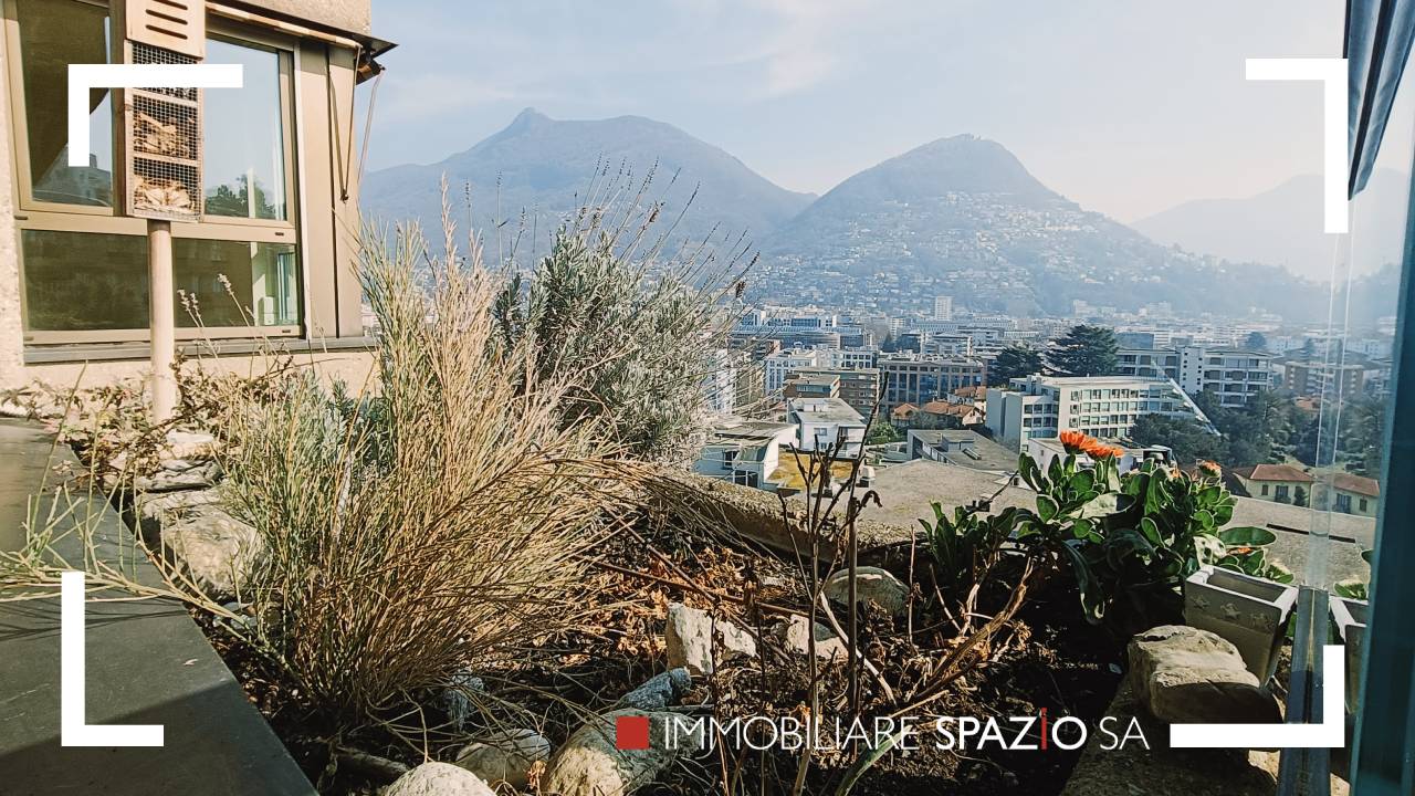 The image shows a balcony or terrace with a panoramic view of a city surrounded by mountains. The balcony has various plants and vegetation, including tall grasses and shrubs. The cityscape in the background appears to be a densely populated urban area wi