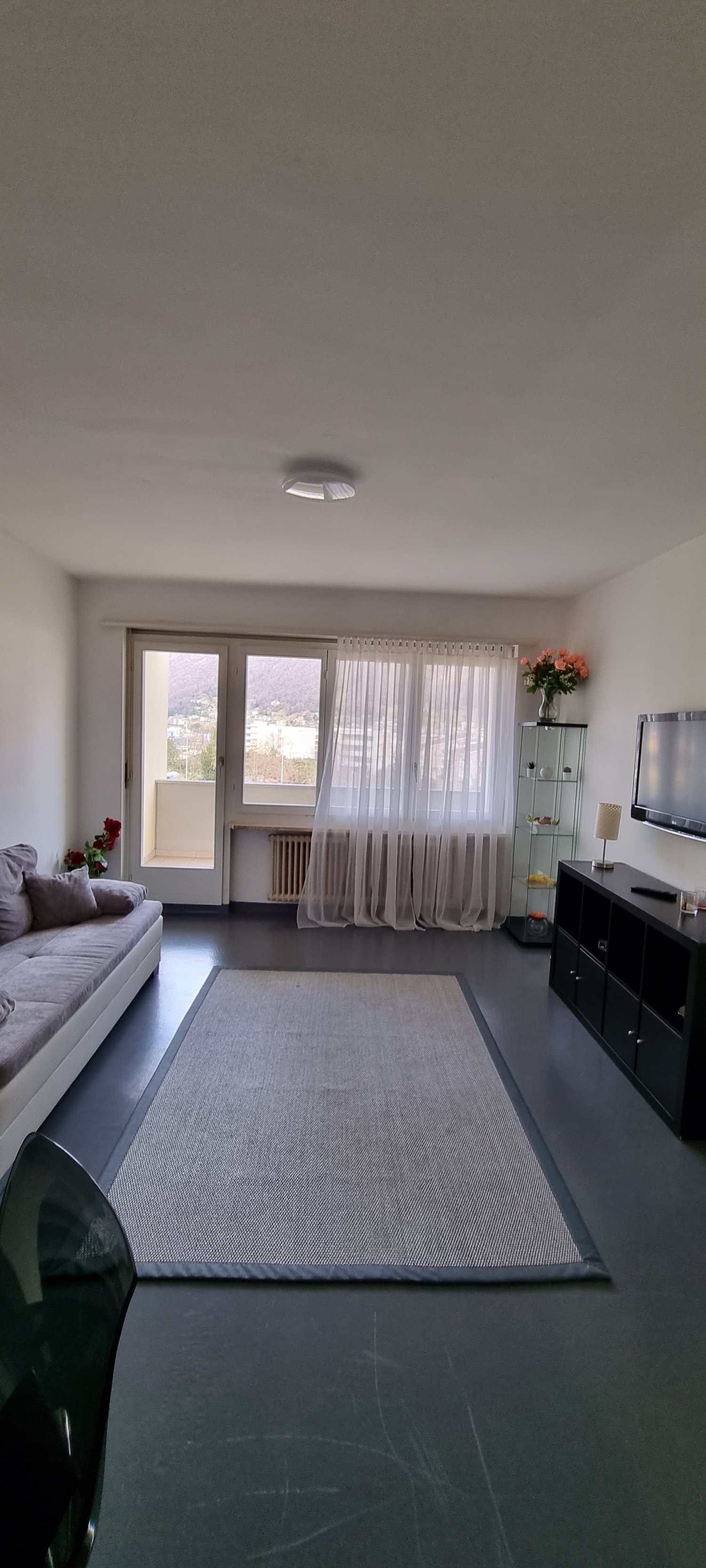 glass doors leading to balcony, white curtains, large windows, balcony, gray rug, white sofa, gray pillow, desk, vase with flowers, TV