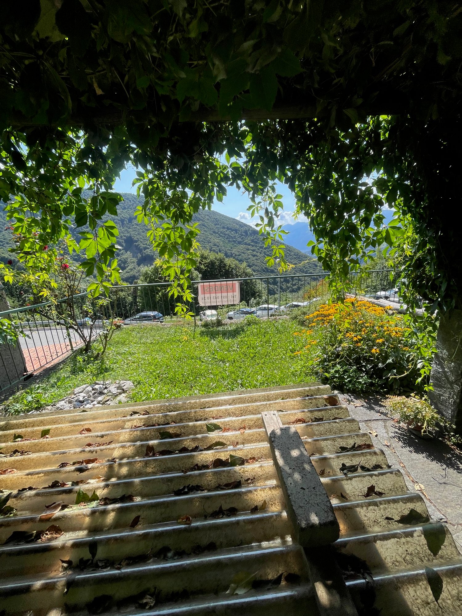 The image shows a lush, green outdoor area with a set of stairs leading down to a grassy area. The stairs are made of stone and surrounded by dense foliage, creating a natural and serene atmosphere. In the background, there is a view of mountains and a bu