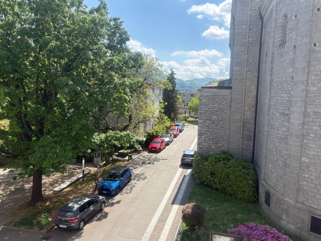 Cars parked on the side of the street, trees, bushes, and a building