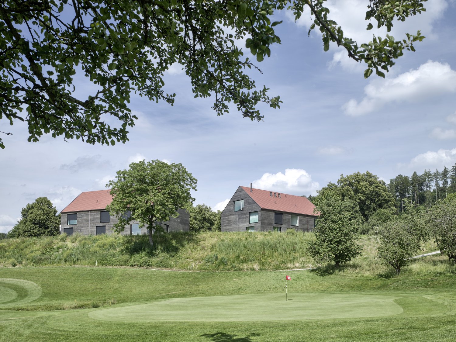 2 houses on hill, red roofs, modern design, green surroundings, golf course
