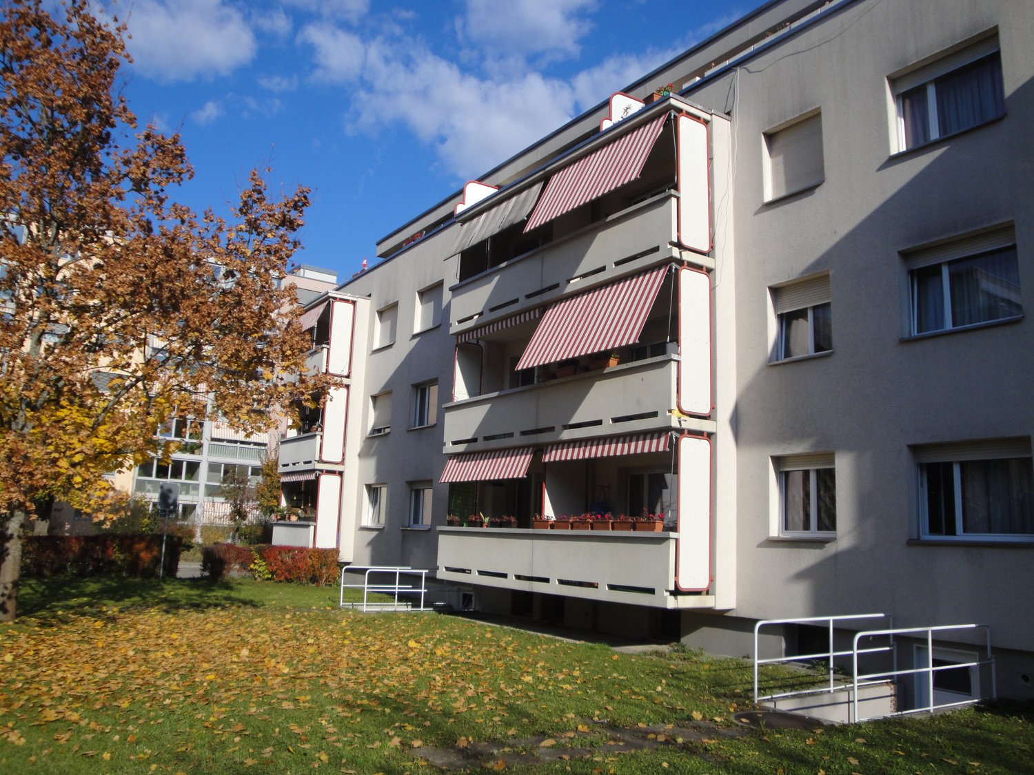 Modern grey apartment building, red stripe awnings, potted plants, staircases, shrubs, lawn, tree