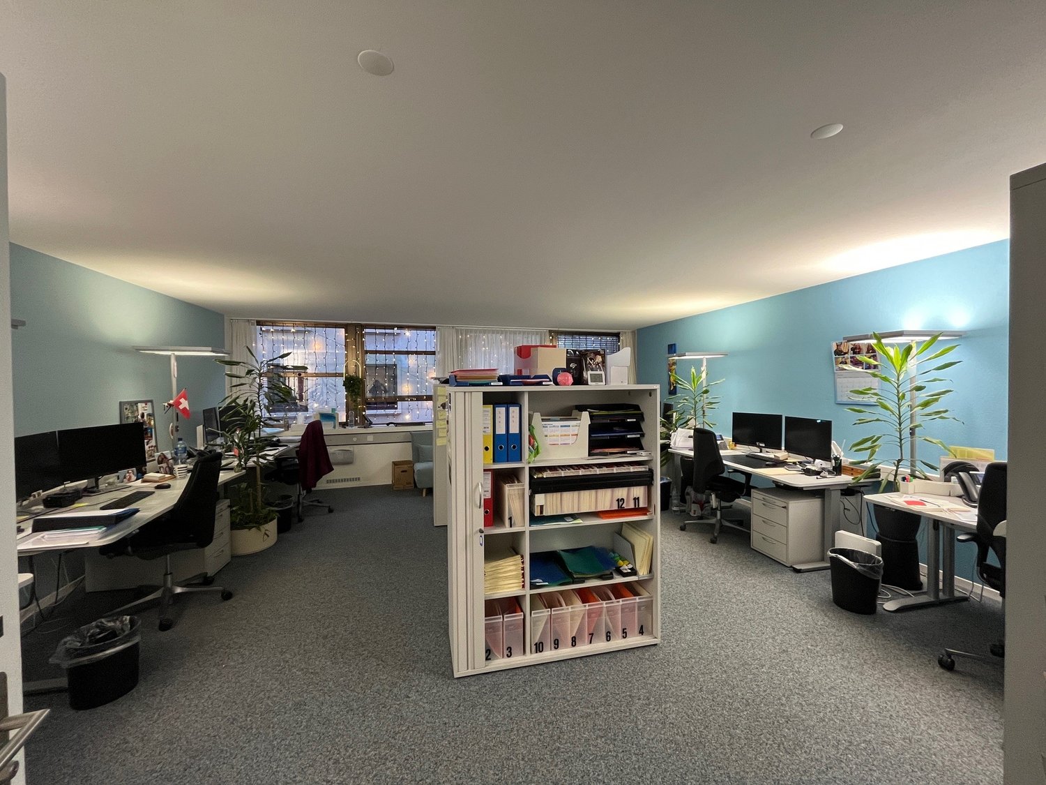Open office layout, blue walls, desks with computer monitors, a bookshelf, plants, office chairs, trash bins, and wall lamps.