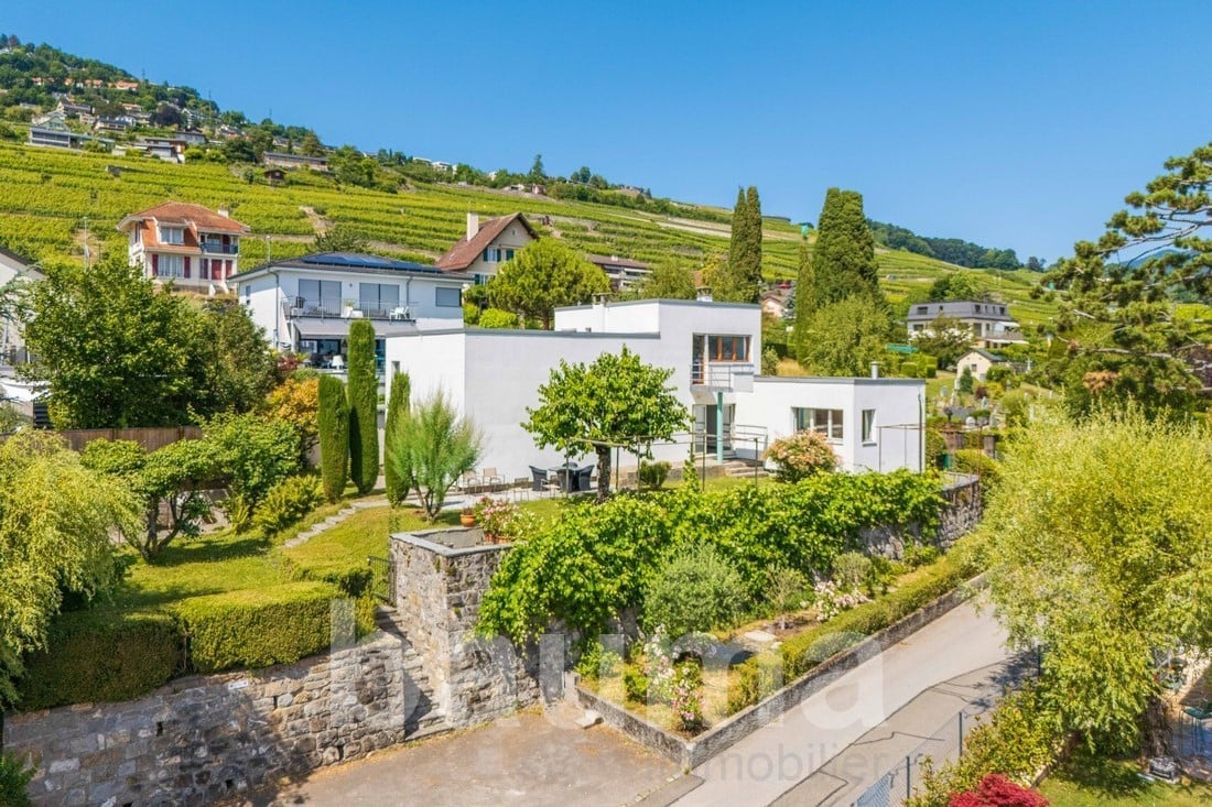 Scenic hillside with residential houses, vineyards, and lush greenery. The houses have balconies and terraces with a view of the surrounding landscape.