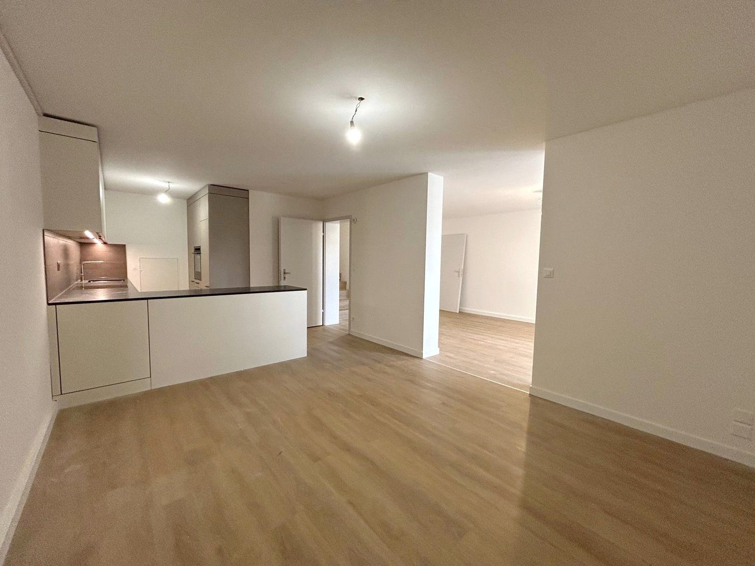 Modern open-plan kitchen and living area, with wooden flooring and white walls.