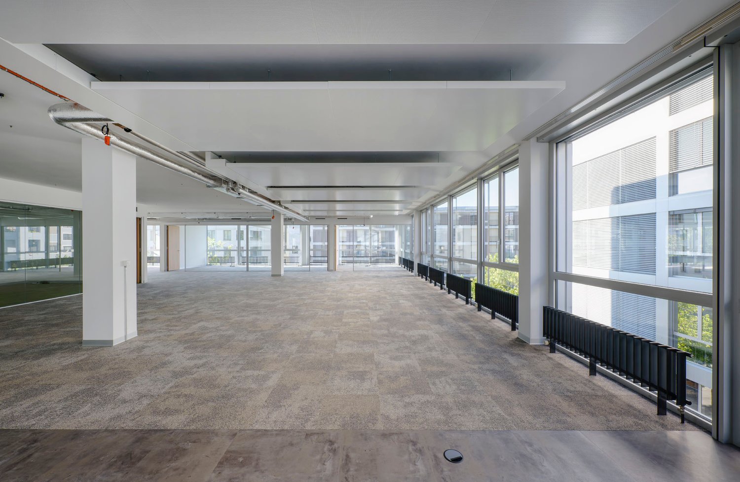 Empty office space with large windows, grey carpet flooring, white ceiling, wooden floor, radiators, support columns.