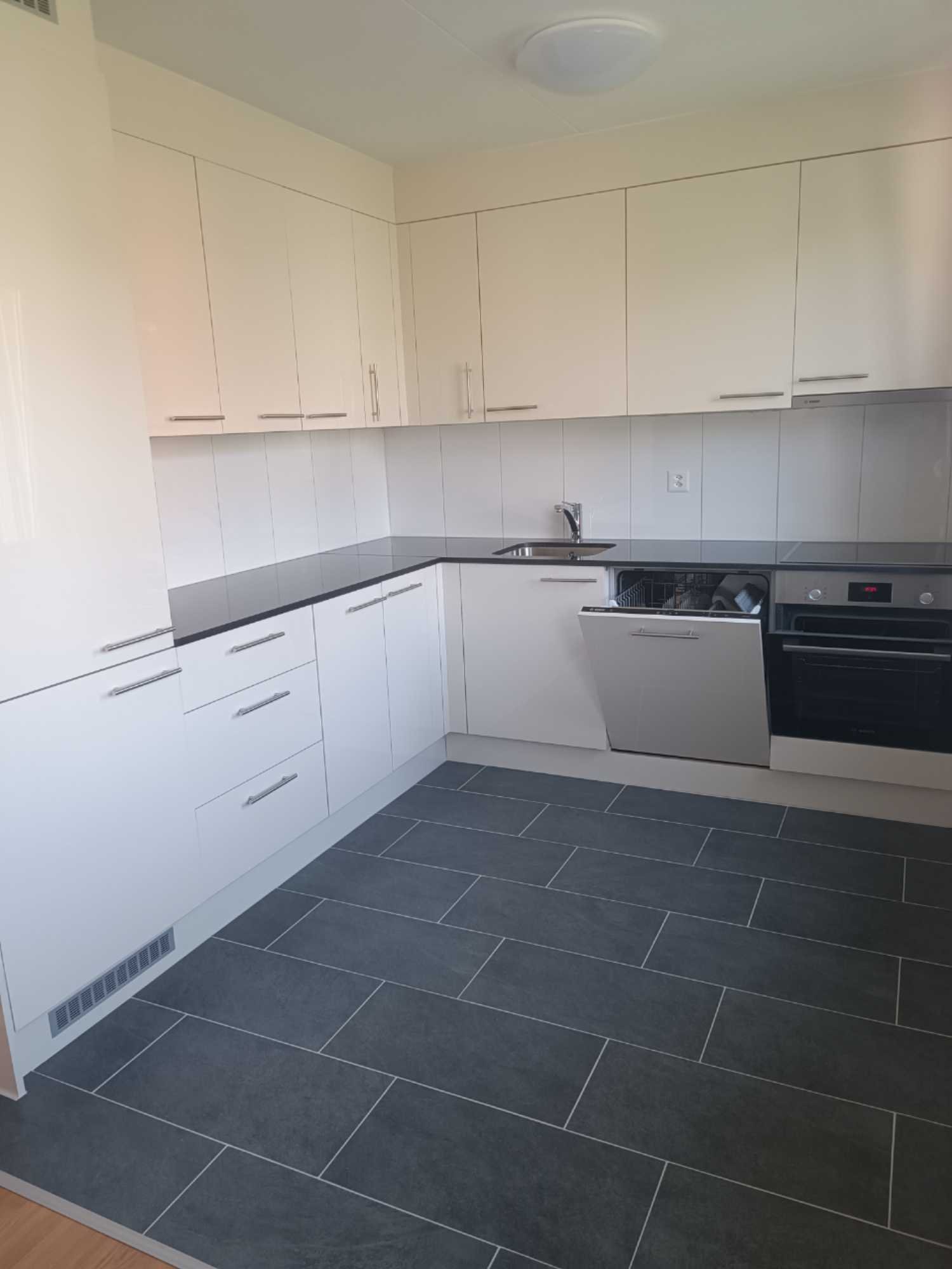 Modern kitchen with white cabinets, black countertops, stainless steel sink, integrated dishwasher, and built-in oven.