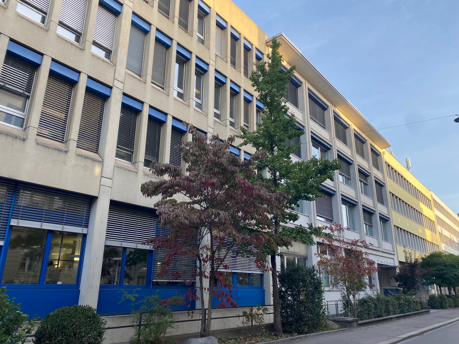 A multi-story building with blue window frames and a yellow wall, surrounded by trees and bushes.