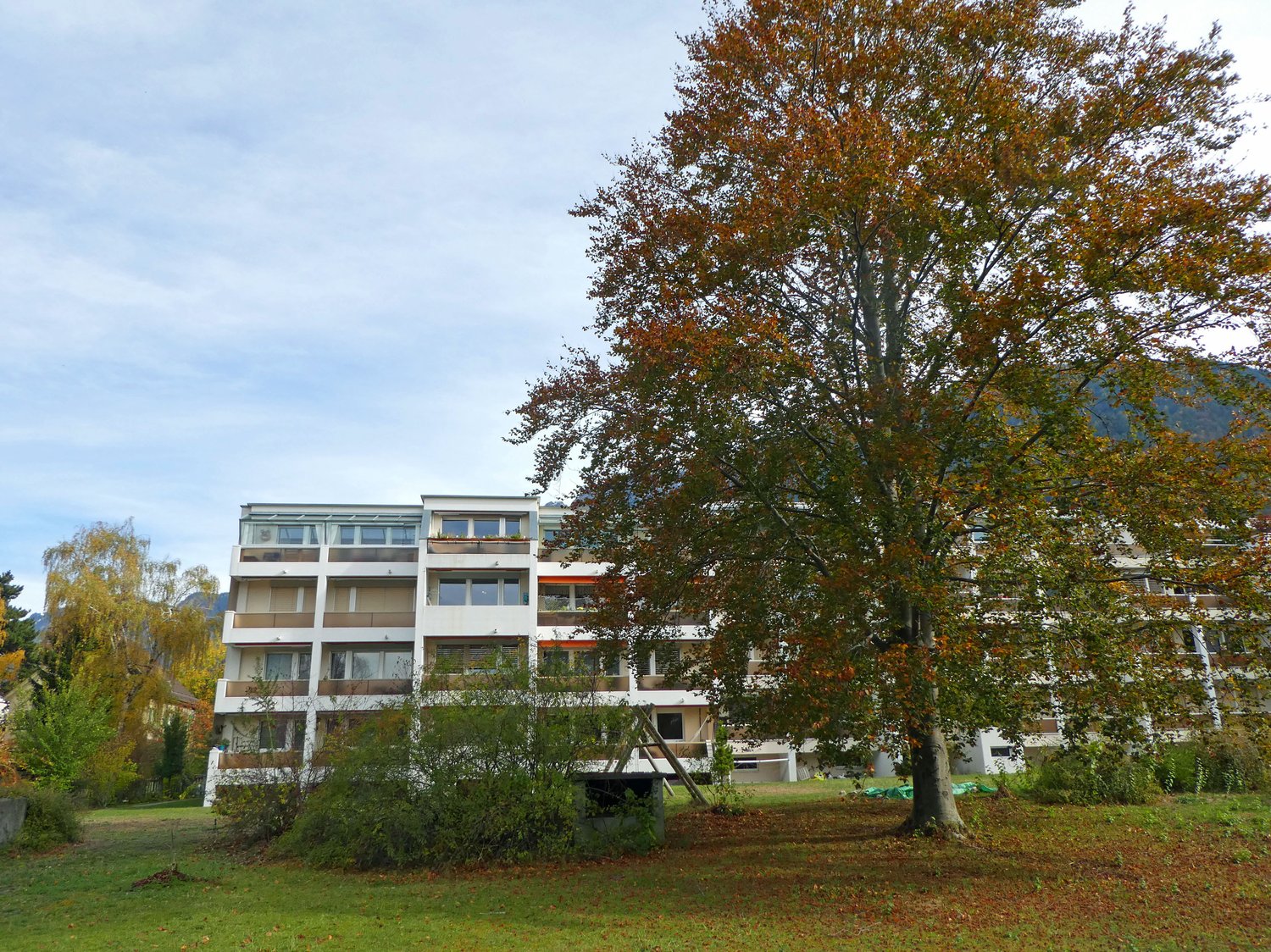 Multi-story apartment building with balconies, surrounded by trees with autumn foliage, grassy area in the foreground