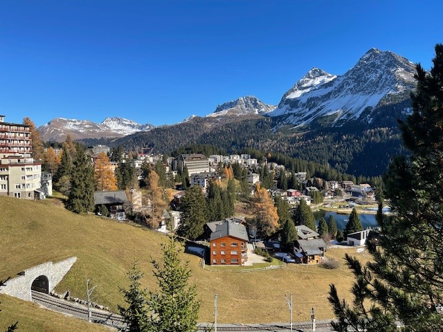 Aerial view of a village with several buildings, surrounded by trees and mountains. Clear blue sky and snow-capped mountains in the background.