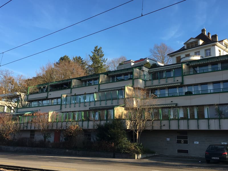 Apartment building, green awnings, multiple balconies, glass windows, paved front yard, tree.