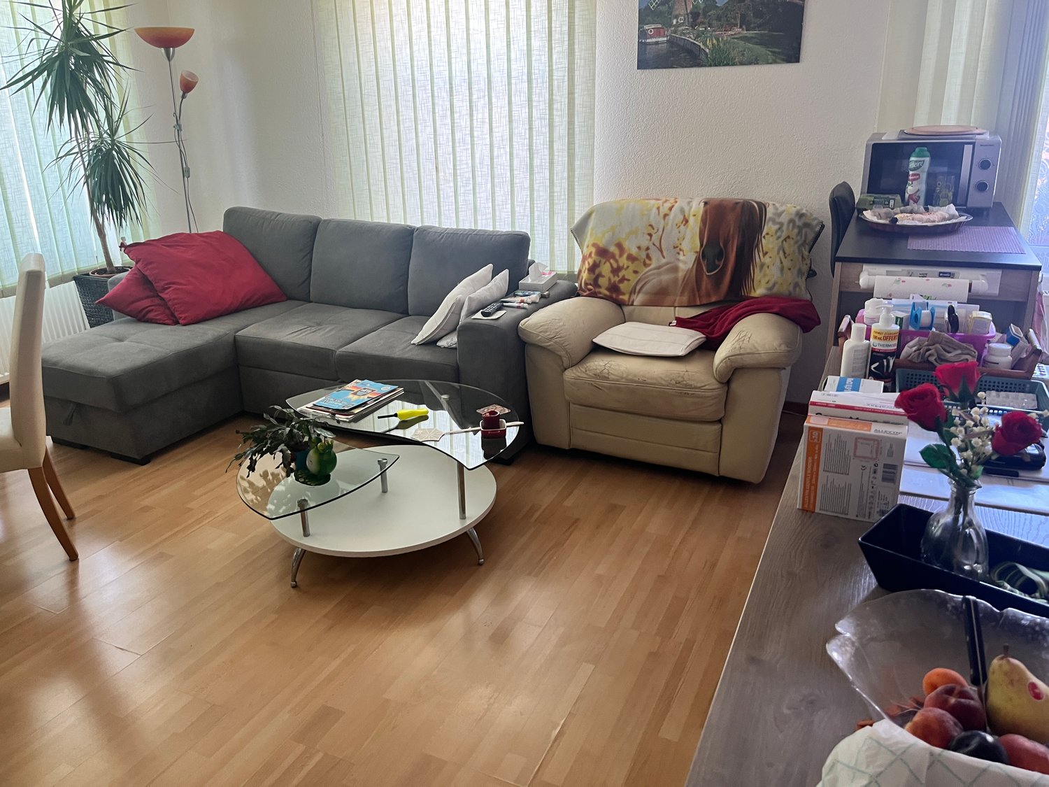 The image shows a living room with a gray sectional sofa, a beige armchair, a glass coffee table, and a potted plant. There are vertical blinds covering a window, suggesting the presence of a balcony or terrace. The room also contains various personal ite