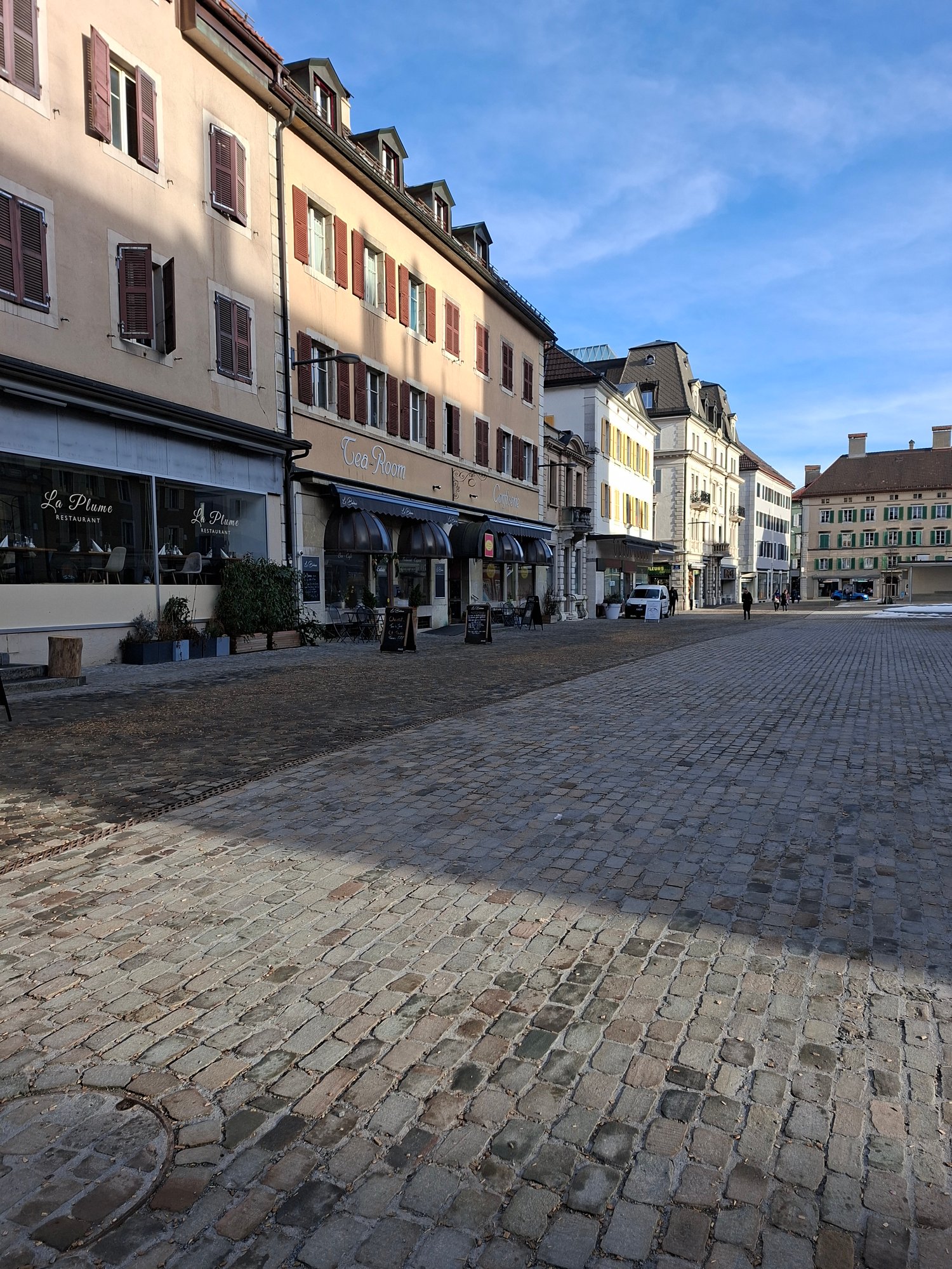 Cobblestone street with buildings on both sides, shops, trees, street lamps, people walking, cars parked.