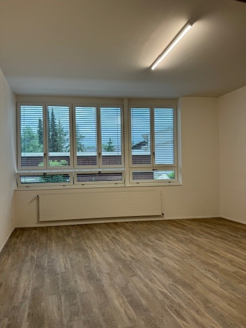 Empty room with large windows, hardwood-style flooring, and a radiator on the wall.