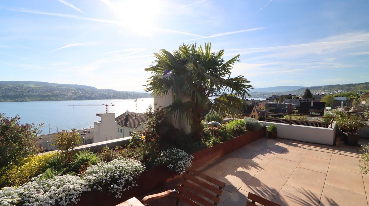 Balcony with views, terrace with benches, flowers, plants, and palm tree