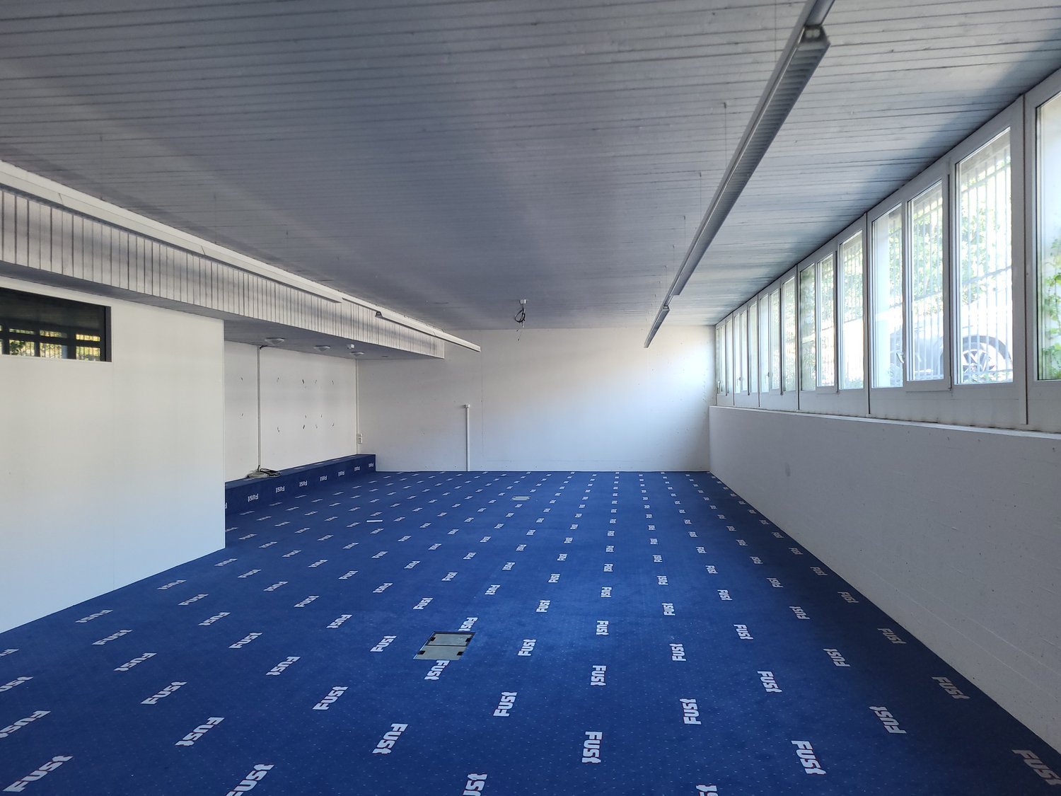 Garage room, white walls, blue carpet, 12 large windows, 2 fluorescent light fixtures, blank wall