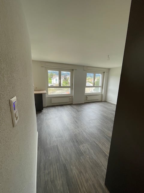 empty room, white walls, wooden floors, double windows