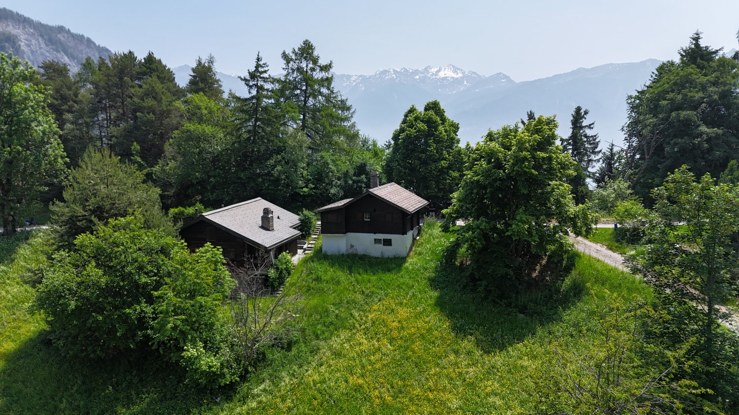 Two-story wooden cabin surrounded by lush green trees and vegetation, with a view of snow-capped mountains in the background.