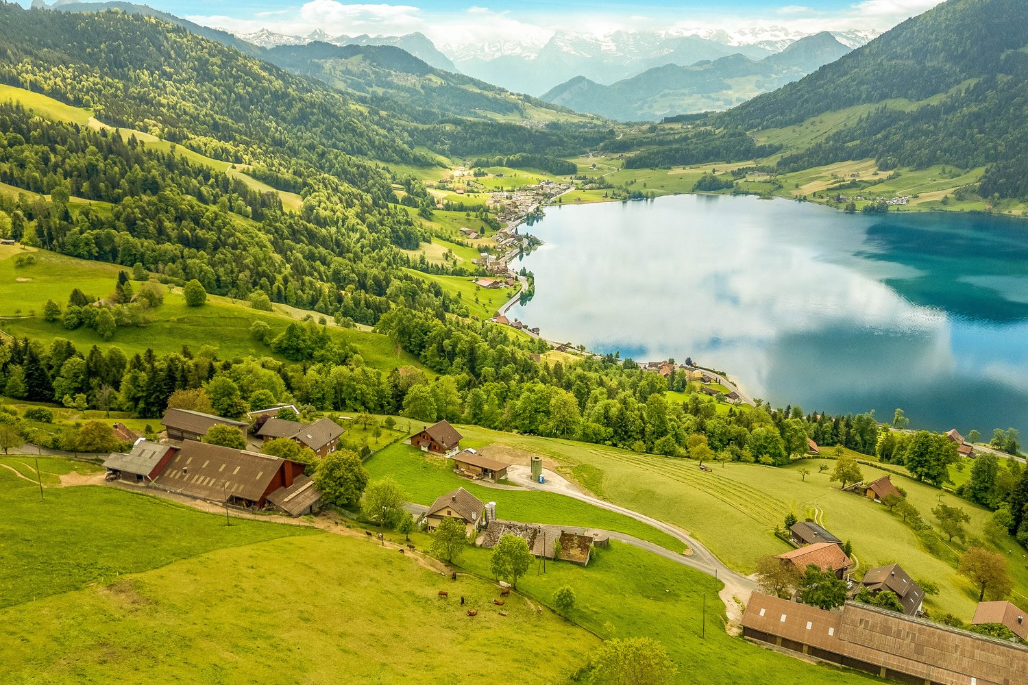 Lake with mountains, small village, fields, and houses