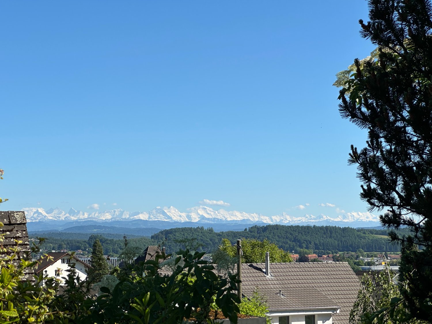 panoramic view of a mountain range, pine trees, houses, and a clear blue sky