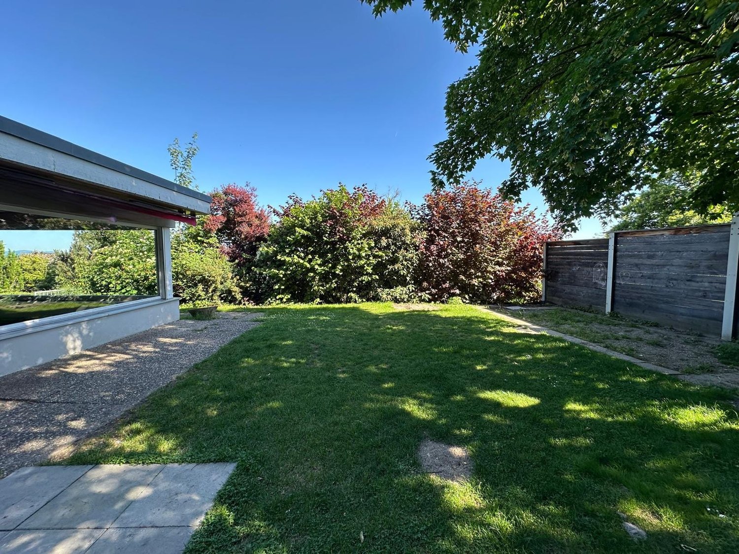 fenced garden, trees, lawn, paved pathway