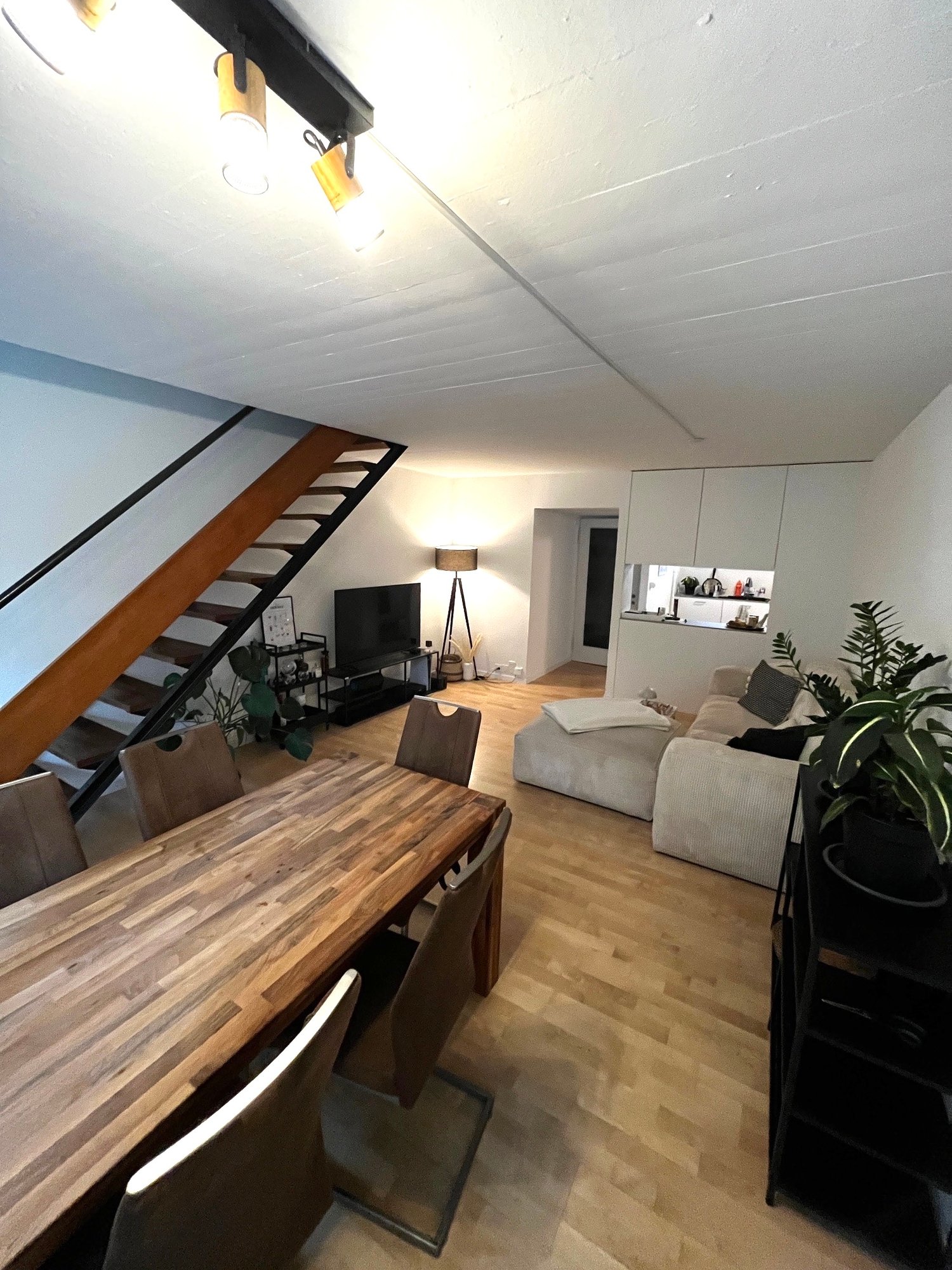 Open concept living area, dining table, couch, stairs, TV, plants, lamp