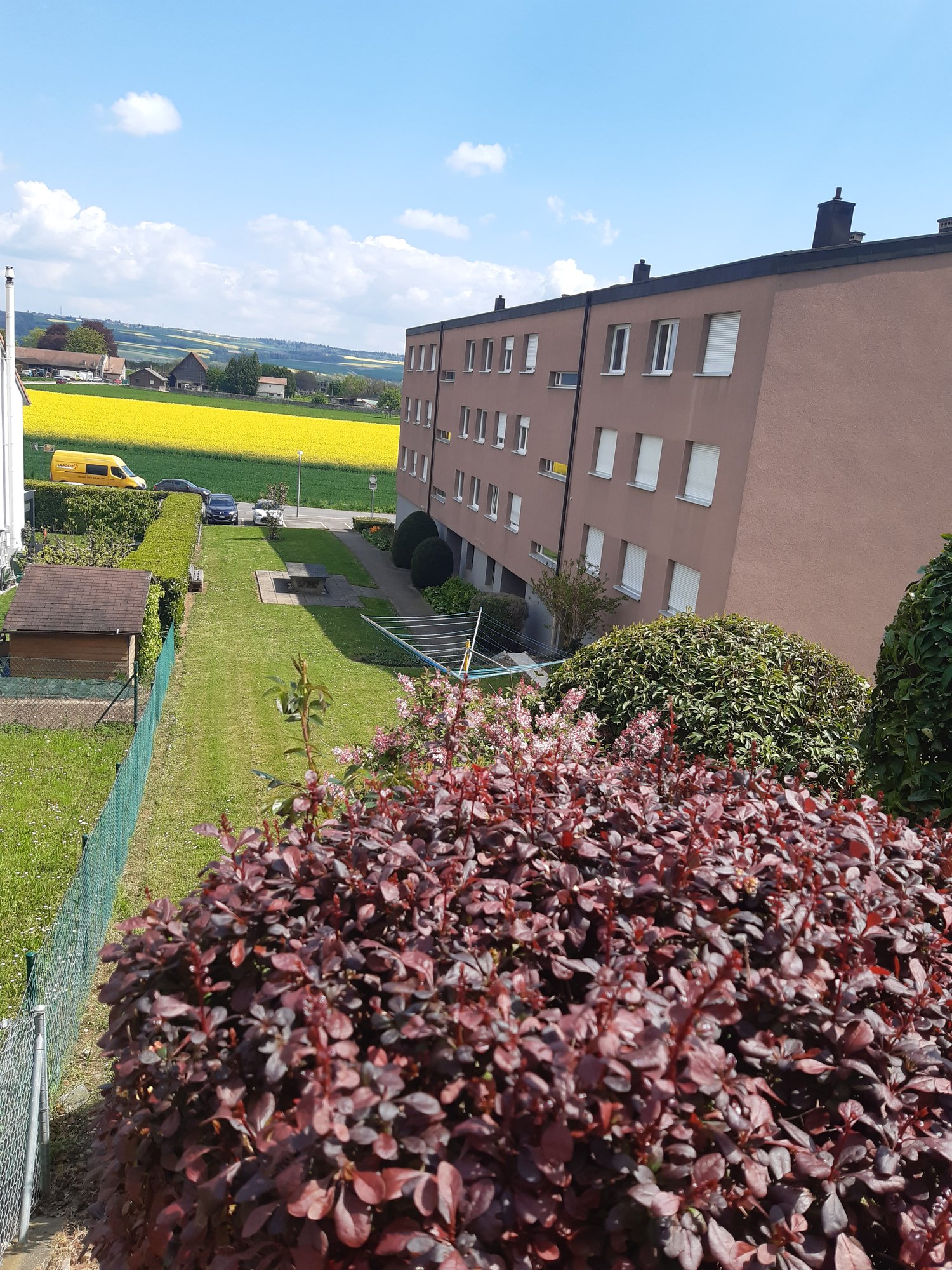 multistory building, brick walls, multiple windows, fenced lawn, yellow field, distant hills