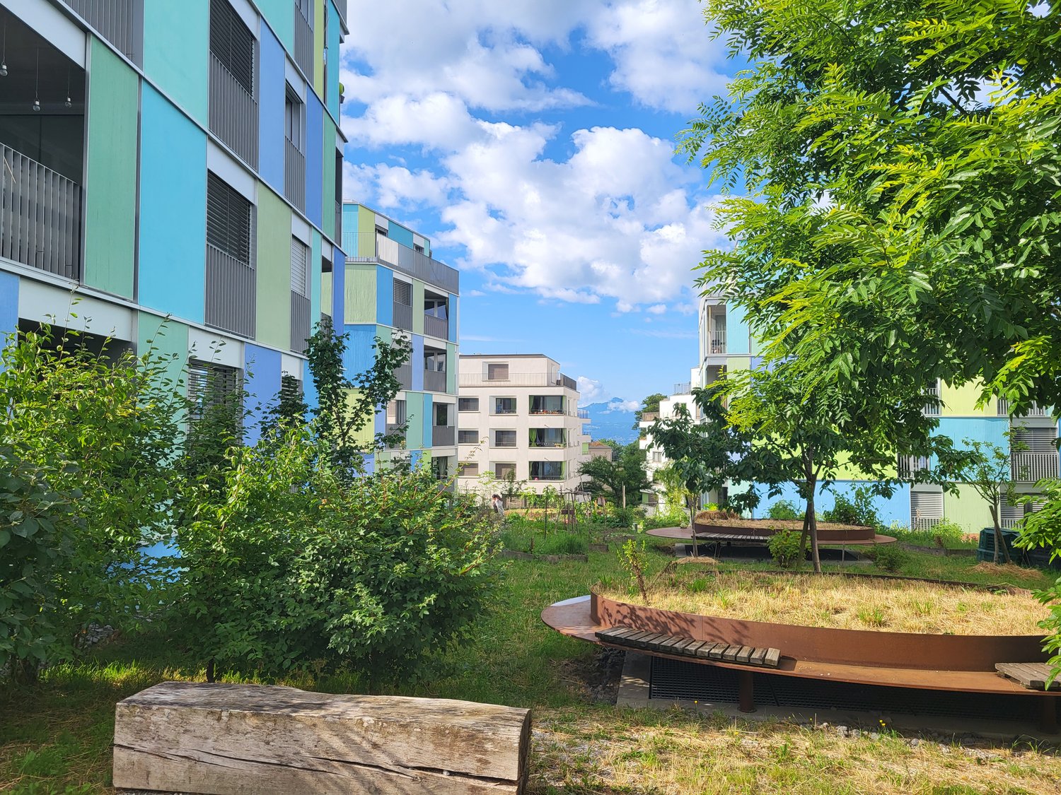 A spacious garden with benches, green grass, multiple trees, a small hill, some bushes, and buildings in the background.