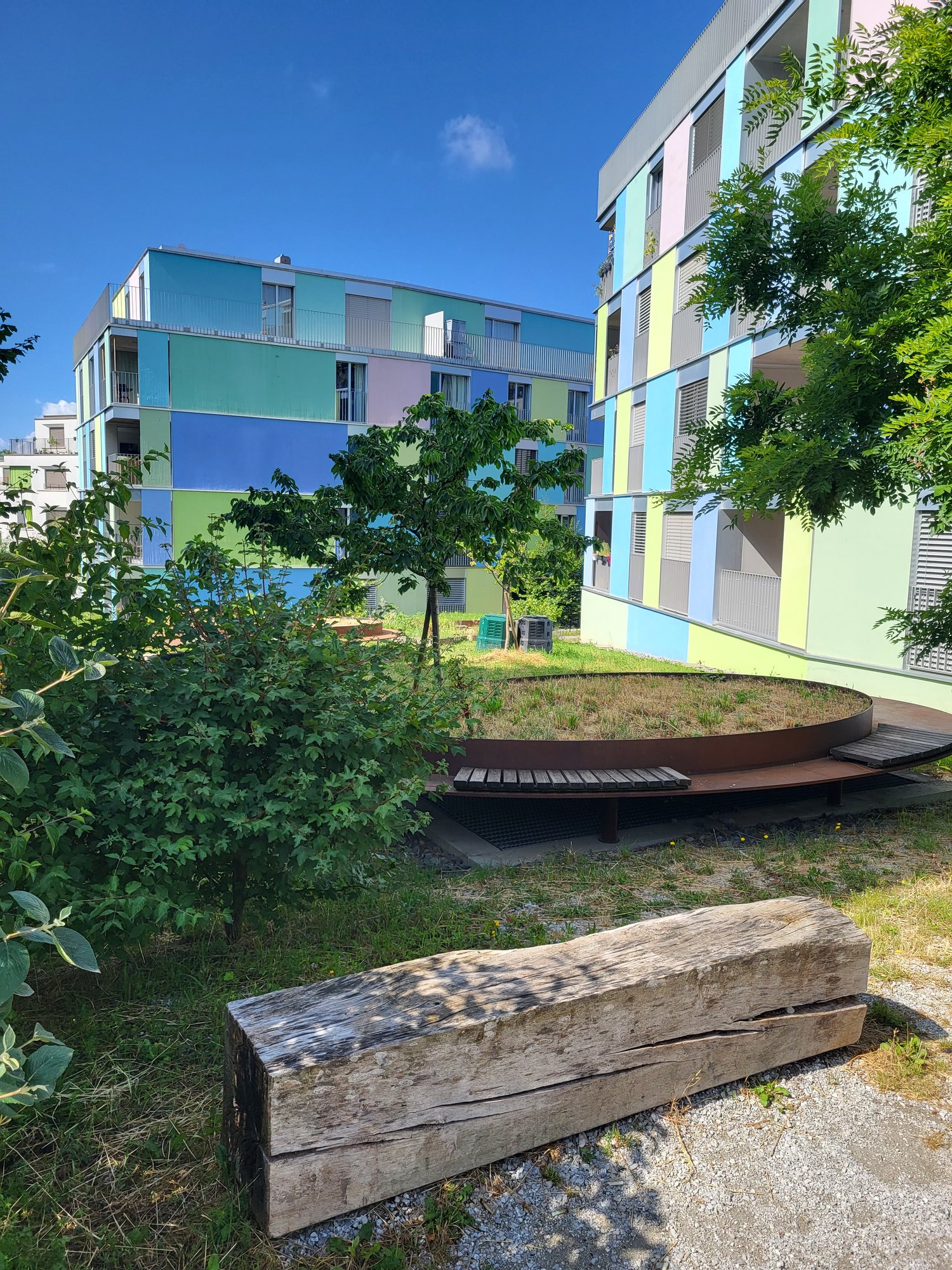 Colorful building, grassy area with wooden bench, wooden log, plants, trees, trash bin