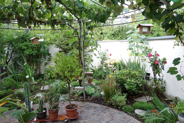 small enclosed garden, brick pathway, potted plants, wall with trellis