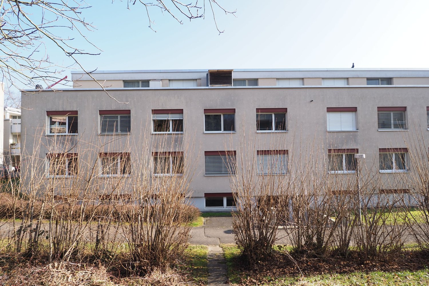 A multi-story gray concrete building with windows and a flat roof. The building has a grassy area in front with some overgrown bushes and shrubs.