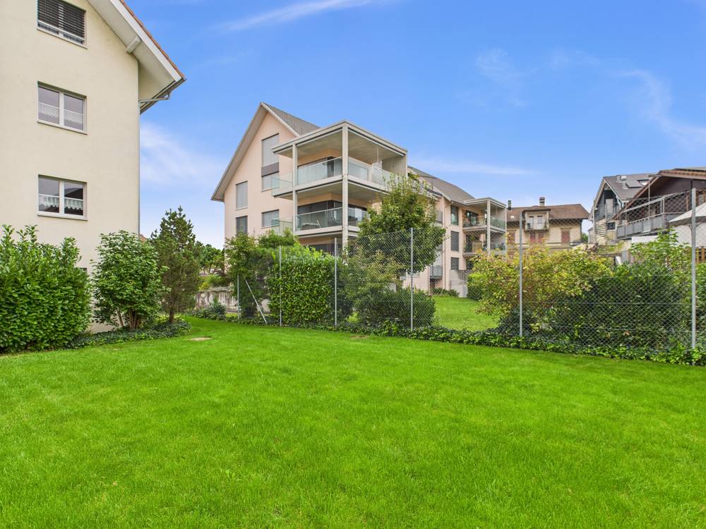 large green lawn, surrounded by bushes and trees, fence, buildings in the background