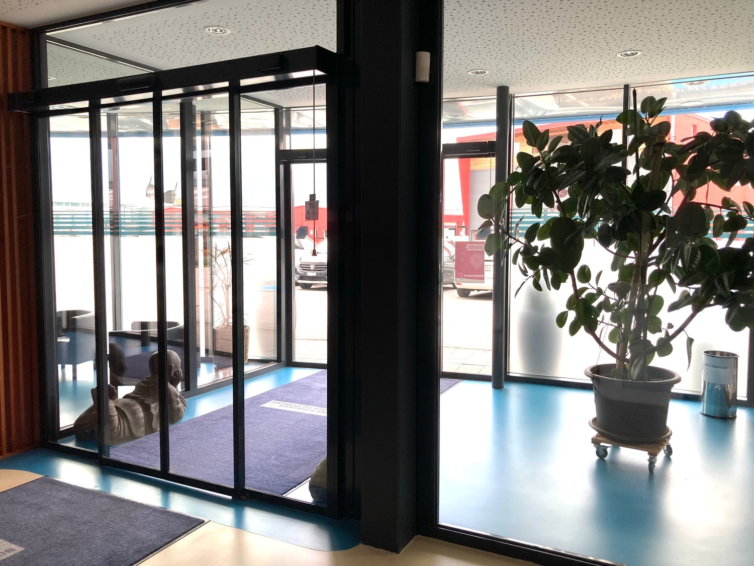 Automatic sliding glass doors, blue carpet, potted plant, trash bin, wooden wall, glass walls, reflection of cars and buildings