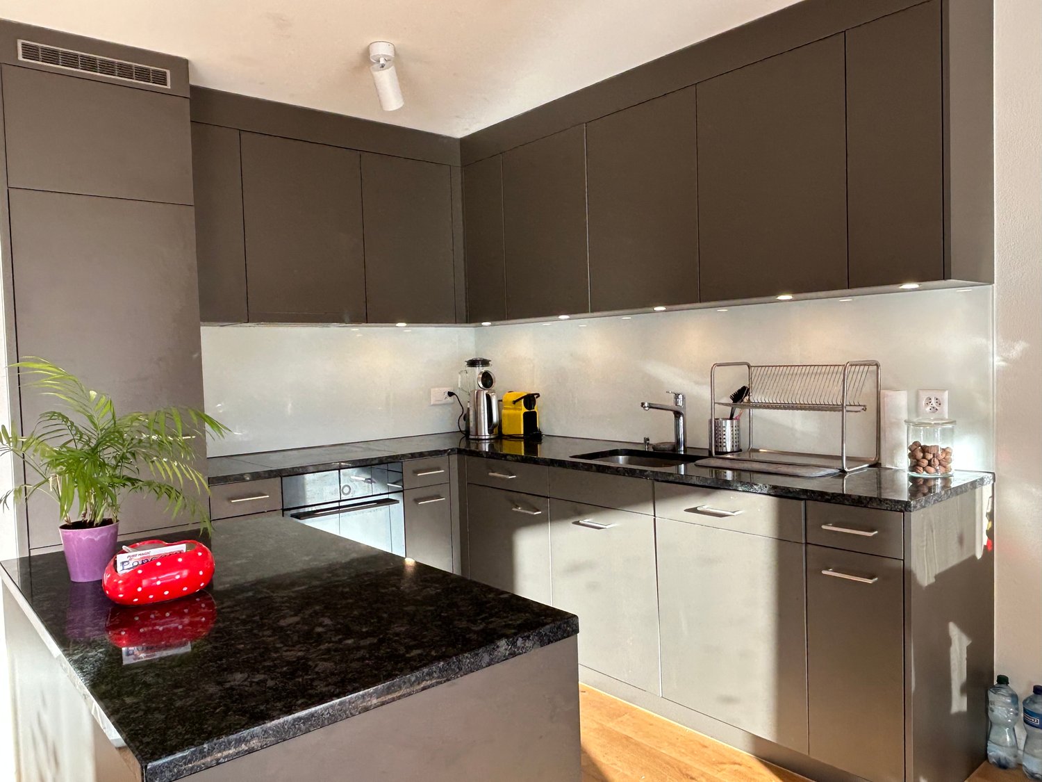 modern kitchen, black granite countertops, gray cabinetry, stainless steel sink, gas stove, built-in dishwasher, white tile backsplash, potted plant