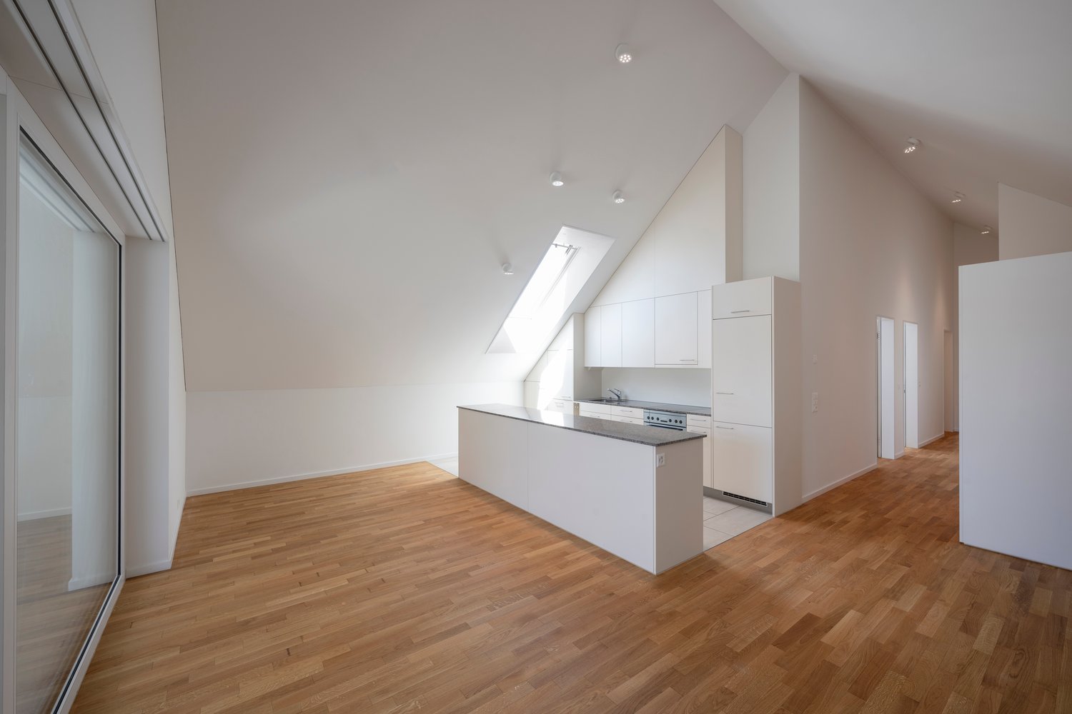 empty room, kitchen, bathroom, wooden floor, white walls, sky light, kitchen island, cabinets, glass wall