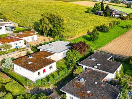 Five identical houses, white exterior, green field, trees, open field