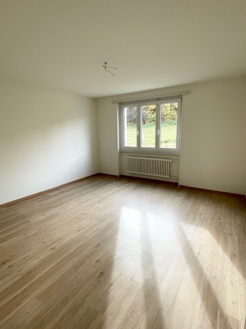 empty room with a window, hardwood floors, white walls, white radiator, bright sunlight coming in from the window