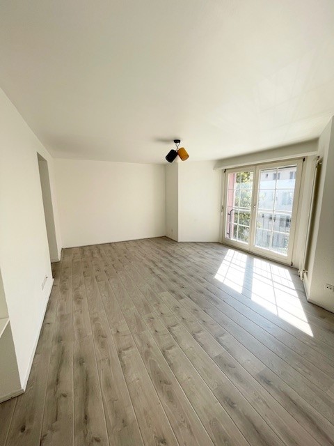 The room has wooden floors and white walls. There is a ceiling lamp with two lights, and a glass door leading to an outdoor area. The room is empty.