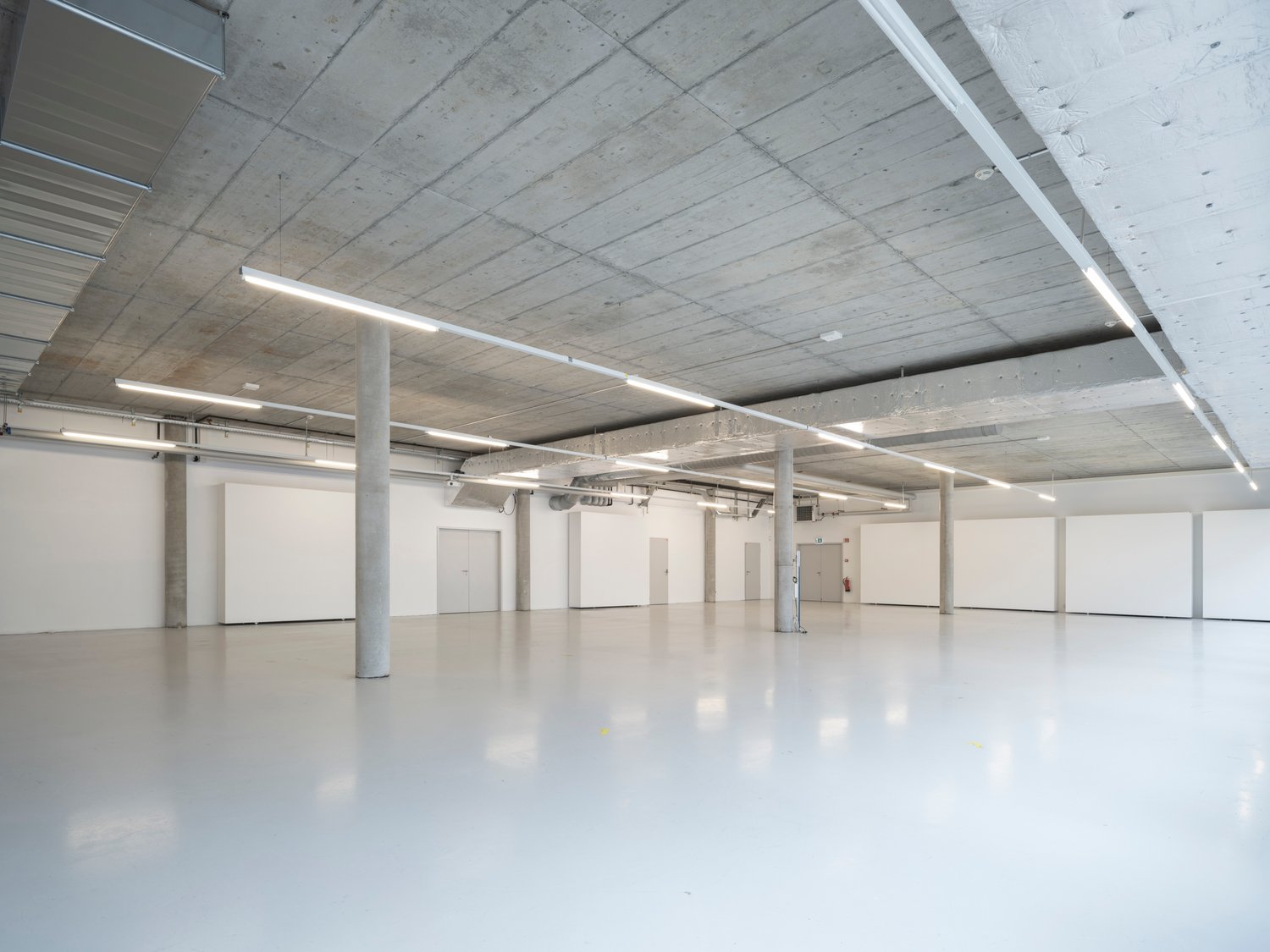 large empty room, white walls, industrial ceiling, concrete floors, several doors, fluorescent ceiling lights