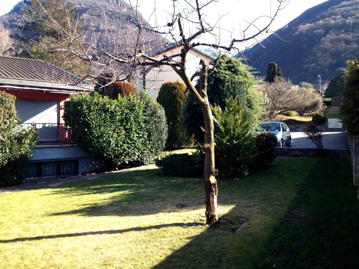 large lawn, small bushes, tree, house, street, parked car