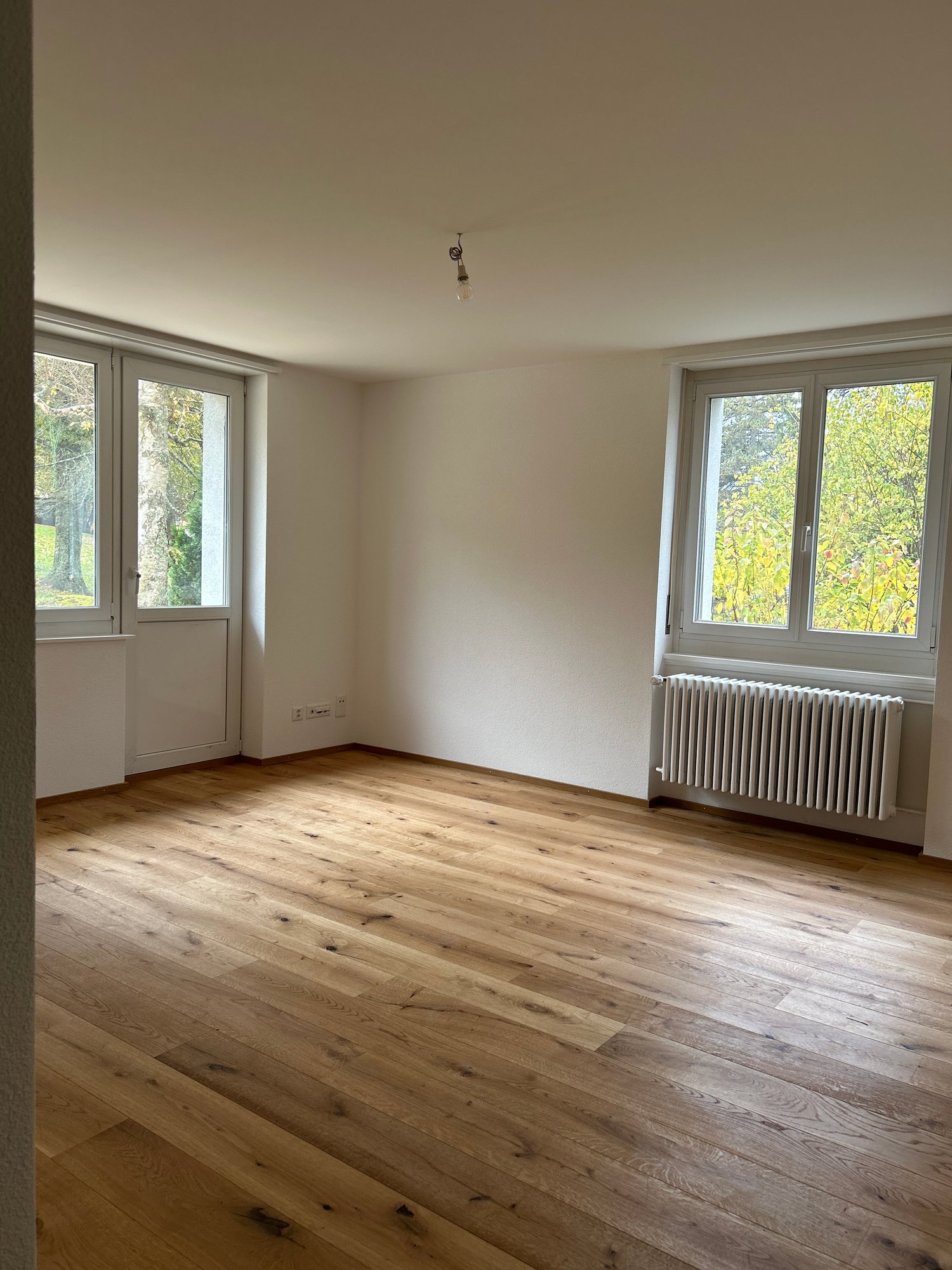 Empty room, wooden floor, white walls, windows, white radiators
