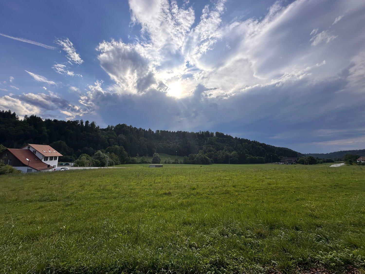large open field, house in the background, surrounded by trees, bright sunny day