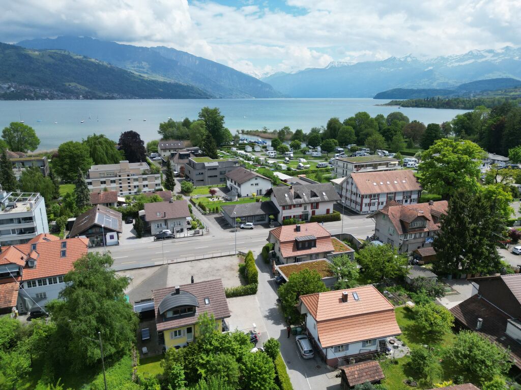 Aerial view of a neighborhood with houses, a lake, and mountains in the background