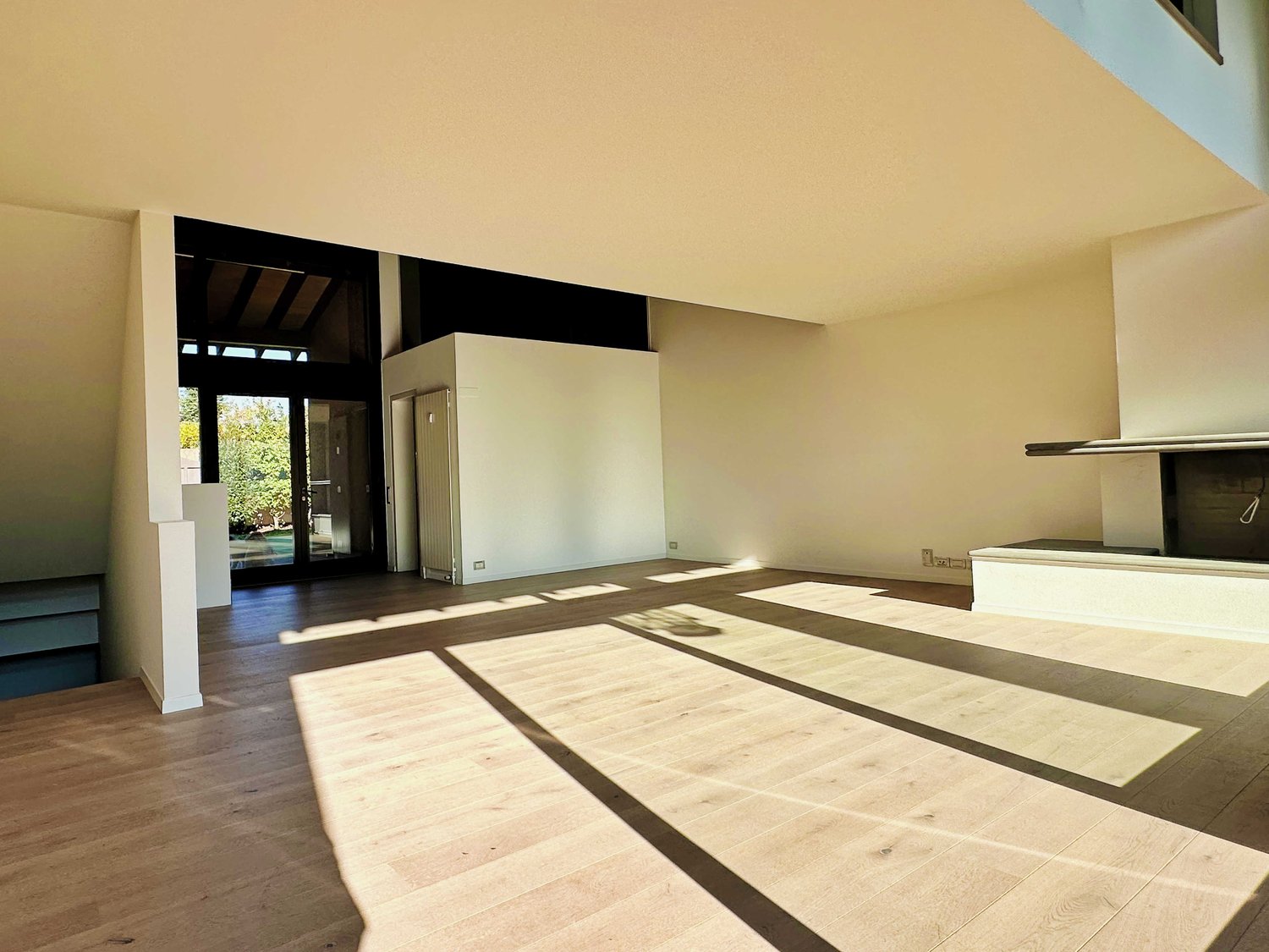 modern interior, wooden floor, white walls, glass door, fireplace