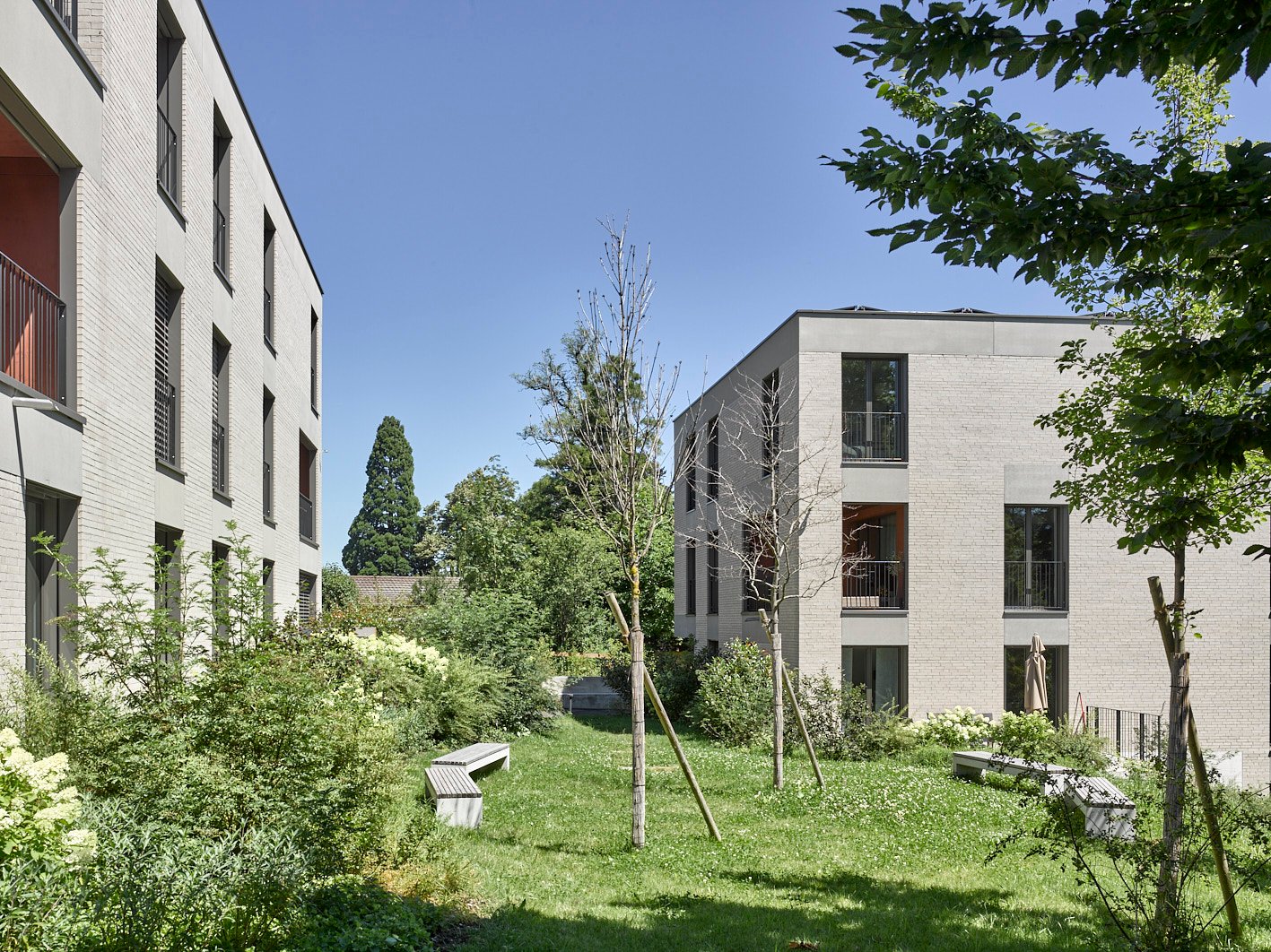 two buildings, green lawn, benches, trees, bushes, windows, balconies