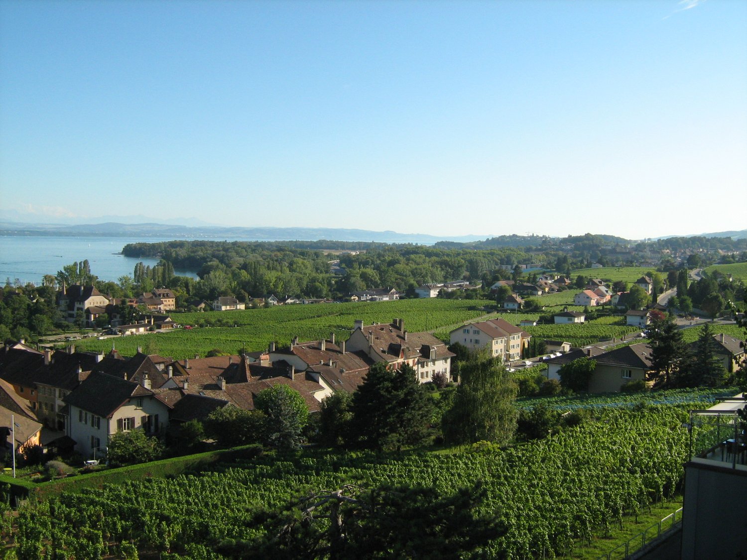 houses in a hilly area, vineyard, lake, mountains in the distance