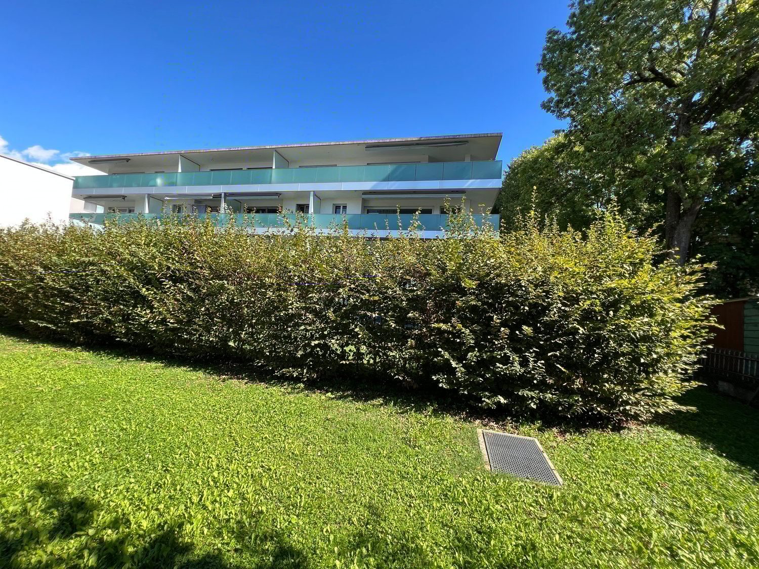 Apartment building with balconies, red brick wall, large bush in front