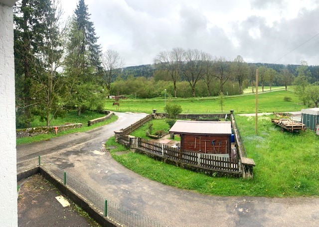 green grass, small house, wooden fence, street, pole, trees, mountains