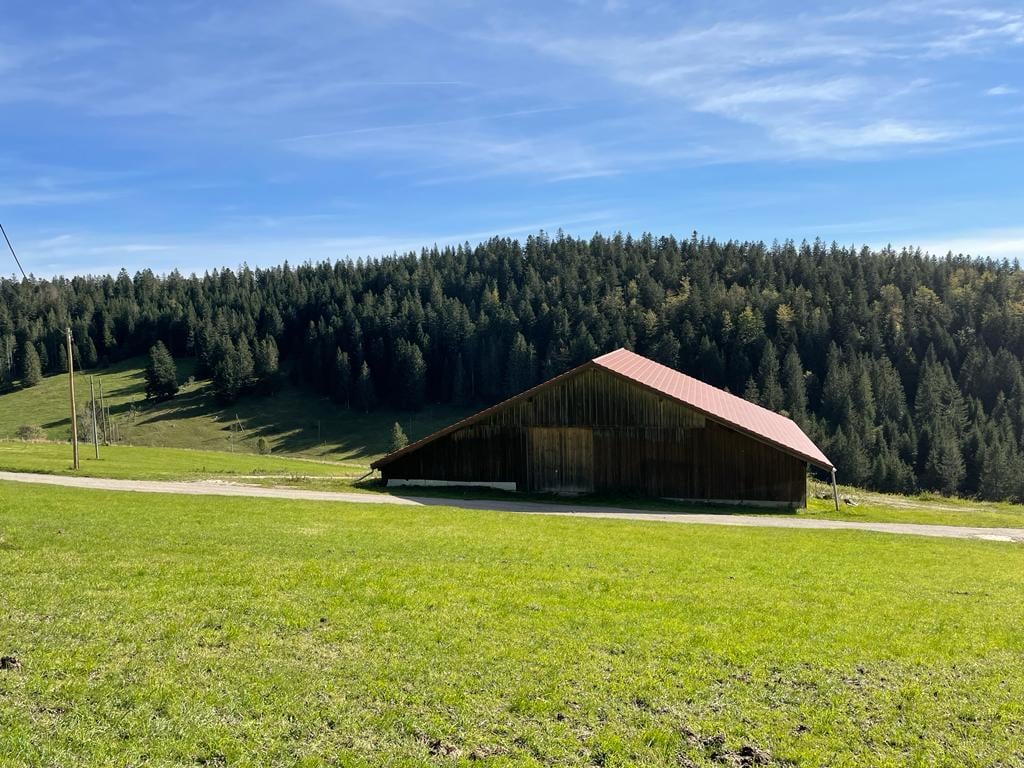 A barn on a hill with a red roof and large green fields, woods and blue sky